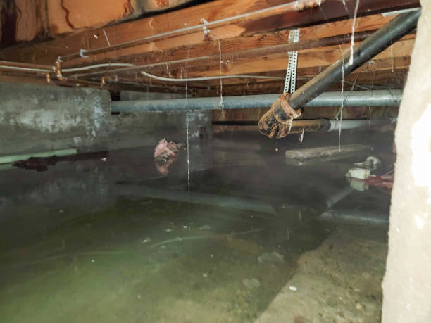 Best Commercial water damage restoration  in Mccordsville, IN