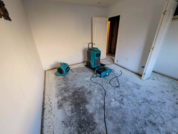 Best Carpet water damage restoration  in Mccordsville, IN