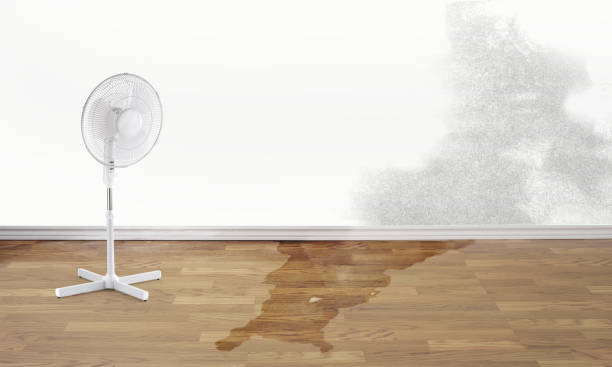 Best 24-hour water damage restoration  in Mccordsville, IN