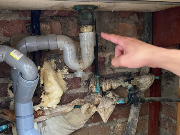 Best Flooded house restoration  in Mccordsville, IN